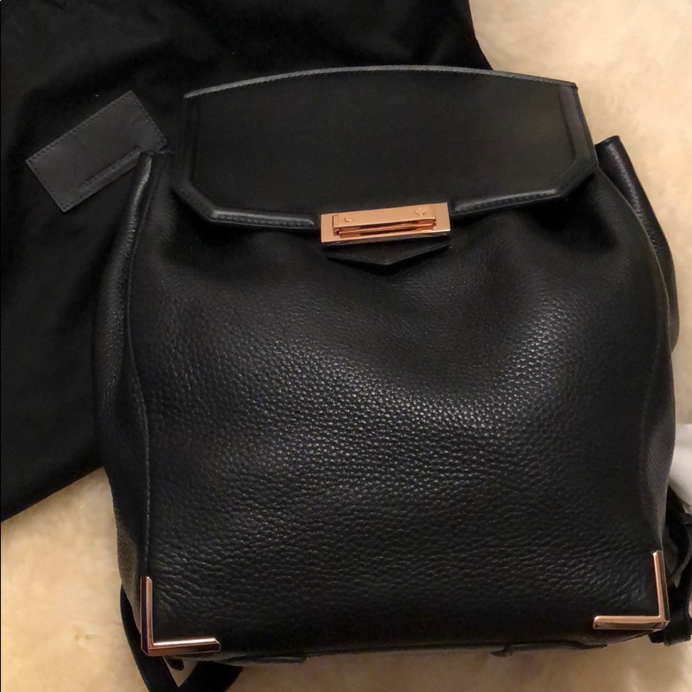 Auth NWT Alexander Wang Prisma Skeletal Backpack
